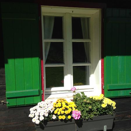 Ferienhaus Trausibauer Stainz Exteriör bild